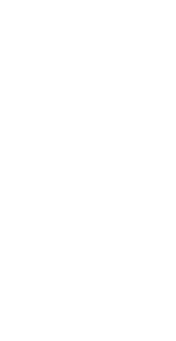 Willow Wanderers FC Logo